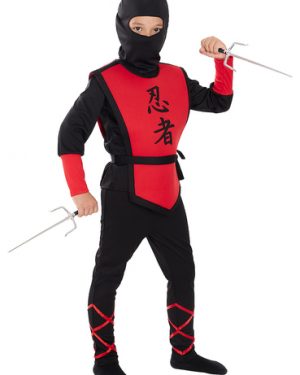 rdeči ninja zmajevi bojevnik