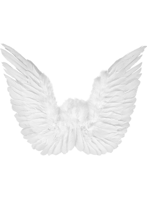 Angel-bela-krila